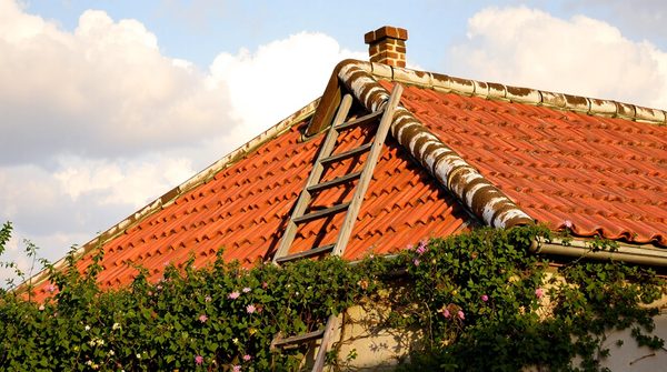 Pourquoi faire appel à un couvreur à saintes pour vos projets de toiture ?