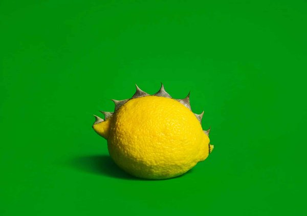 L'agence bh seo se transforme en spécialiste de la performance web